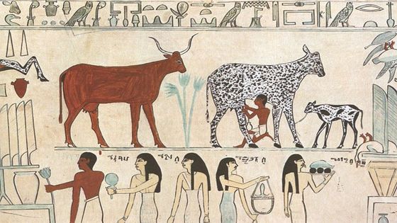 La domestication, conjointement à l’agriculture, est à l’origine de la civilisation - CC