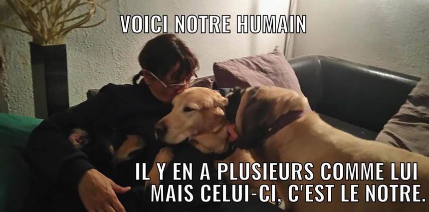 Ariane Severan, éducateur canin