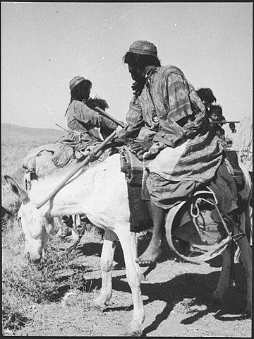 Afghanistan, Bala Murgab : femmes et enfants sur des ânes (1939)