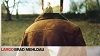 Brad Mehldau - Dusty McNugget Album Largo, 2002