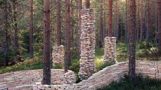 Rune Guneriussen, Protest art on separation, 2014. - Courtesy Mélanie Rio Fluency.