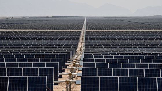 Champ de panneaux photovoltaïques au Mexique ©AFP - ALFREDO ESTRELLA