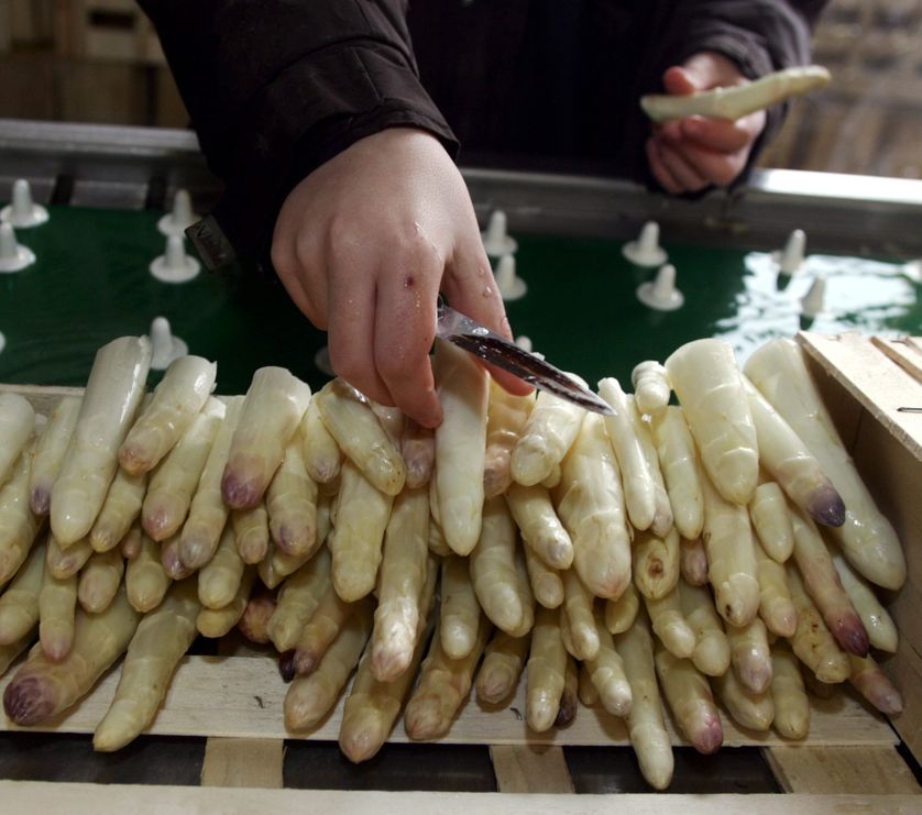 L'asperge fait son retour sur les marchés