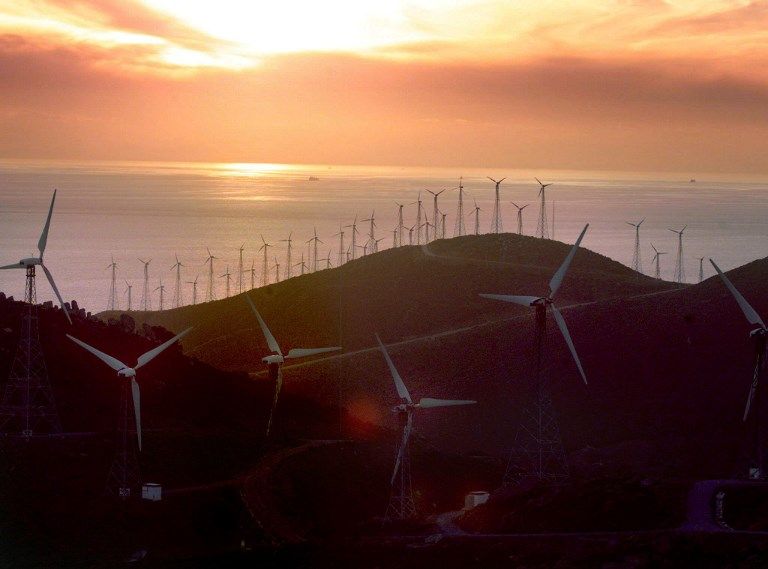 Des éoliennes ont été implantées sur les montagnes autour d'Algesiras surplombant le détroit de Gibraltar, sur la route migratoire de l’Afrique. Des millions d’oiseaux, de rapaces et de chauve- souris y sont morts