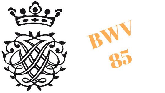 Cantate BWV 85