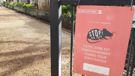 A l'entrée du parc Henri-Roussel à Paris, fermé depuis le mois de novembre pour dératisation. ©Radio France - Mathilde Dehimi
