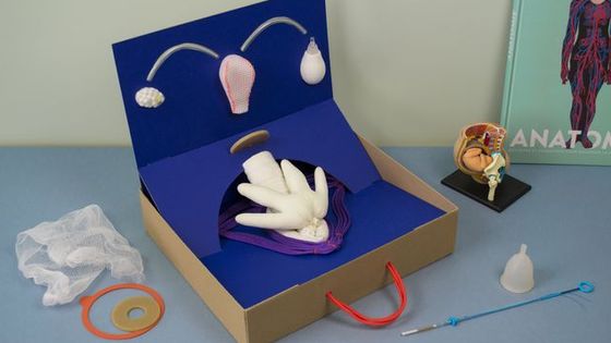 Le kit "les parleuses" représentant les organes sexuels féminins, nouvel outil pour l'éducation sexuelle, réalisé par la designer Fanny Prudhomm - © Fanny Prudhomme