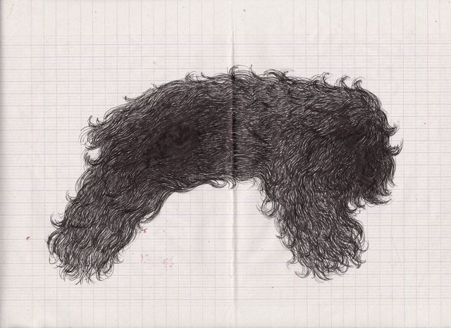 Dessin de Guillaume Pinard, "Chien poilu"
