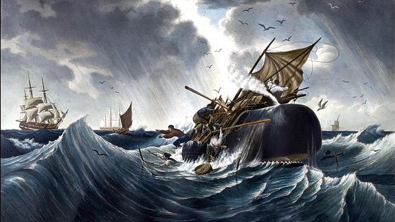 Illustration de la chasse à la baleine datant de 1875. ©Getty
