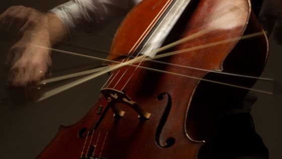Archet de violoncelle qui joue dans tous les sens. ©Getty - Alex Minkin