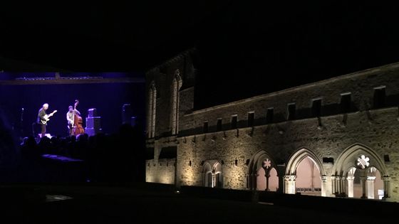Abbaye de l'Epau au Mans/Bill Frisell et Thomas Morgan le 02 mai 2018 ©Radio France - Emmanuelle Lacaze