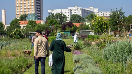 La ferme urbaine de Saint-Denis propose, outre la culture de légumes, des animations pédagogiques et des activités culturelles. Elle a ouvert le samedi 19 mai 2018 ©Maxppp - Bruno Levesque