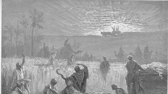 Retour de l'arche à Beth-Shémesh, Gustave Doré - wikicommons