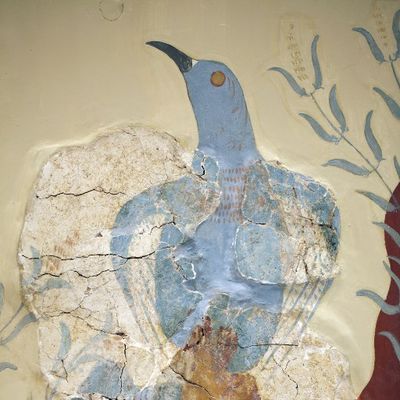 Détail de la fresque de l'oiseau bleu, retrouvée à Cnossos. Reconstitution effectuée par A. Evans avec des fragments de l'oeuvre originale , 1600-1450 av J.-C. Exposition permanente du musée archéologique d'Heraklion.