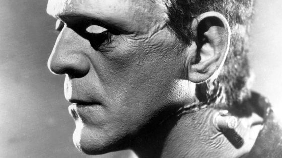 Frankenstein contre l'homme invisible - Aubrey Schenck Productions / Collection Christophel