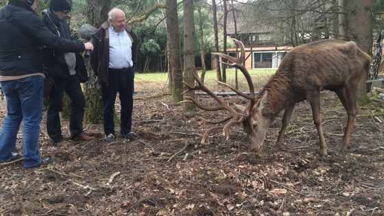 Le cerf de Jean-Philippe Varin ©Radio France - Manoushak Fashahi