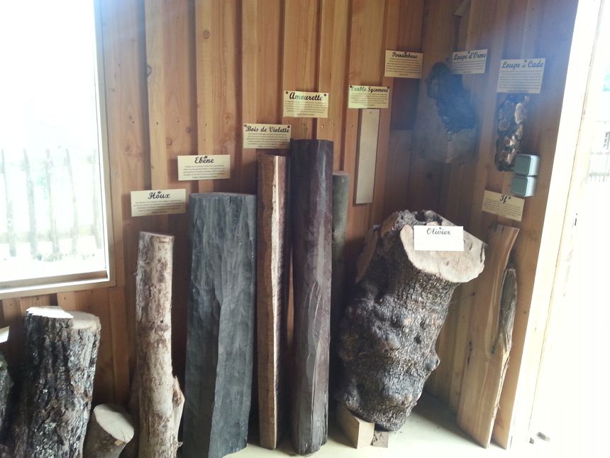 Quelques essences de bois