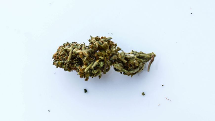 Le cannabis a également des vertus thérapeutique. La Creuse souhaiterait pouvoir en cultiver