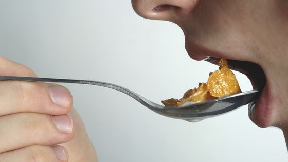 Les groupes alimentaires ont eu raison de Nutri Score, et l'Assemblée Nationale a rejeté l'interdiction de la pub pour les aliments trop gras à la télé ©Getty - UniversalImagesGroup