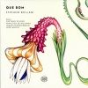 « Que Bom »