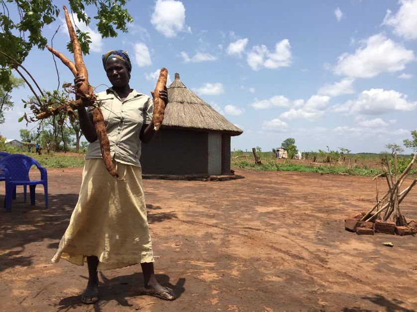 Pauline, une réfugiée du Sud Soudan arrivée l'an dernier avec ses 5 enfants en Ouganda. Elle fait partie d'un groupe de fermiers qui cultive du manioc sur des terres prêtées par des Ougandais