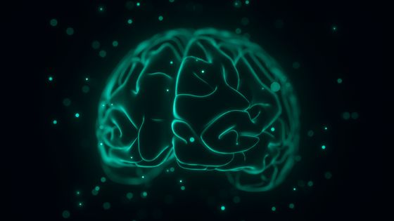 Cerveau humain ©Getty - KTSDESIGN/SCIENCE PHOTO LIBRARY