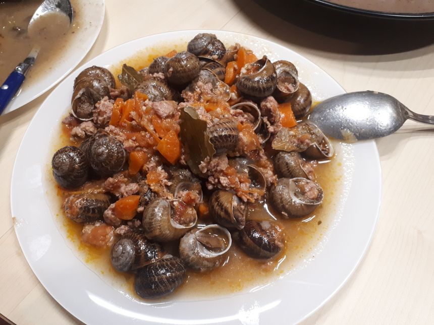 Les escargots du Brousticot de Thibault Colin cuisinés par Dominique Barjibeaux