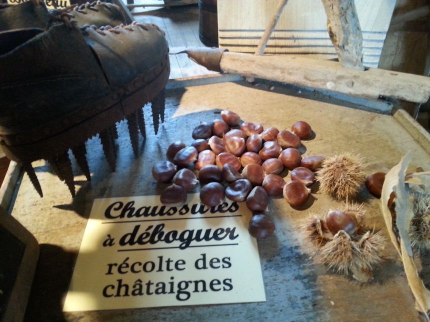 Chaussures à débloguer pour la récolte des châtaignes