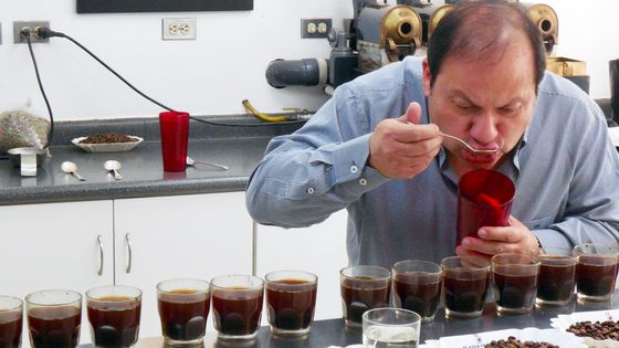 Gerardo de Leon, goûteur de café et directeur commercial de Fedecocagua. - Crédit indiqué dans la page