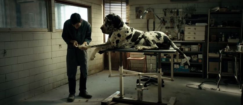 Marcello Fonte dans «Dogman», du réalisateur italien Matteo Garrone.