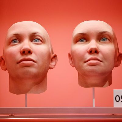 Installation 'Radical Love' par l'artiste Heather Dewey Hagborg. Musée Victoria and Albert à Londres.