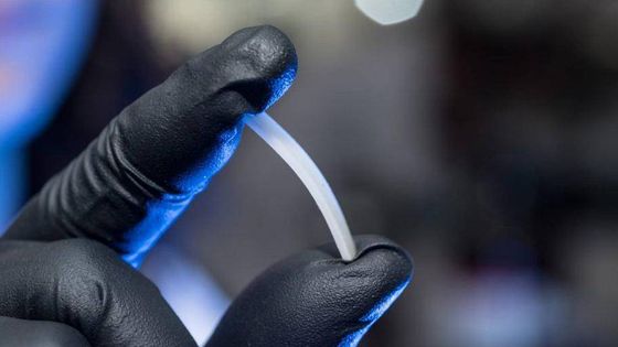 Cette équipe de chercheurs a crée un polymère qui ne se dégrade pas lorsqu'il est recyclé contrairement à la plupart des plastiques actuels - Bill Cotton/Colorado State University
