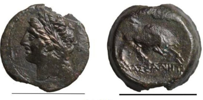 Monnaie Massaliote, tête d’Apollon et taureau