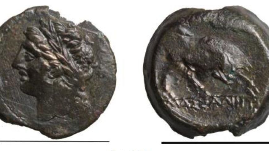 Monnaie Massaliote, tête d’Apollon et taureau