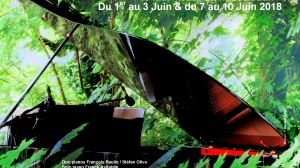 Jazz à Cours et à Jardins