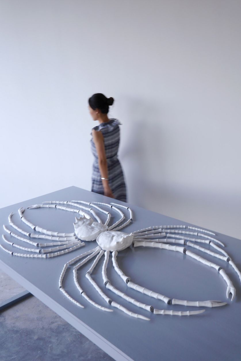 Elsa Guillaume, "Mésoplagie", 2017, Porcelaine