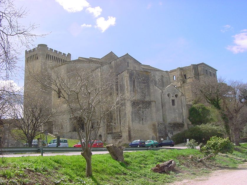 L'abbaye de Montmajour dans le département des Bouches-du-Rhône en France. Vue générale 1