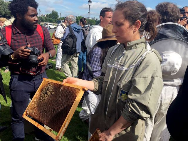 Marie Georgi a enregistré près de 80% de perte au sein de sa colonie d'abeilles.