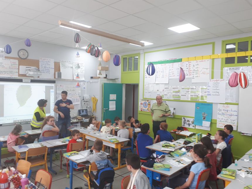 forêt expliquée dans l'école primaire de Pontonx