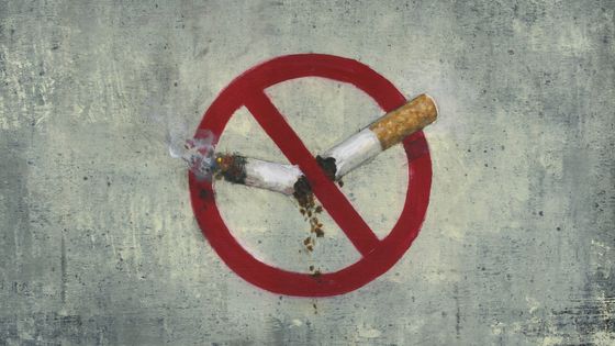 La ville de Strasbourg va interdire les cigarettes dans ses parcs ©AFP - FANATIC STUDIO / SCIENCE PHOTO L / FST / Science Photo Library