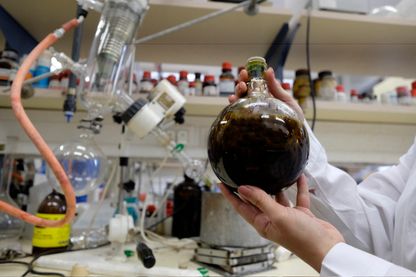 Cannabis thérapeutique à l'Université de Jérusalem Cannabis thérapeutique à l'Université de Jérusalem
