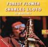 « Forest Flower »
