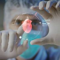 Les apports du numérique à la médecine de demain