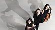 Beethoven: Piano Trios ORCHID CLASSICS