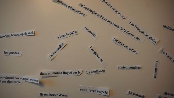 Mots du discours d'investiture d'Emmanuel Macron, découpés. - Lisa Astier / DR
