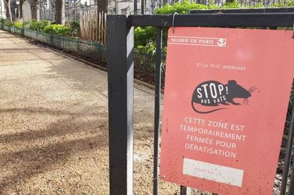 A l'entrée du parc Henri-Roussel à Paris, fermé depuis le mois de novembre pour dératisation. A l'entrée du parc Henri-Roussel à Paris, fermé depuis le mois de novembre pour dératisation.