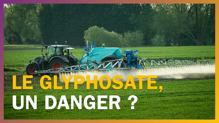 Le glyphosate est-il dangereux pour la santé ?