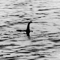 Toute première photo du monstre du Loch Ness prise en 1934 par Robert Wilson, chirurgien anglais et publiée par le Daily Mail.