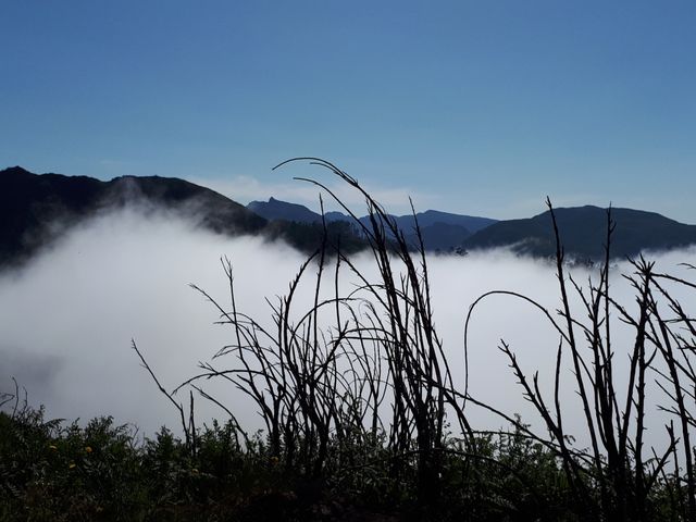 Au dessus des nuages une nature sauvage préservée