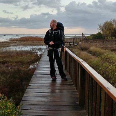 Olivier Bleys